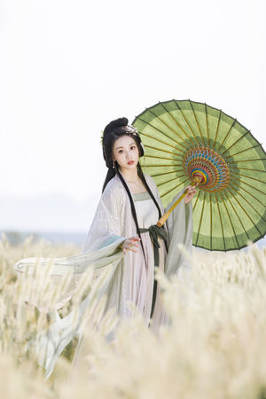 穿越到自己寫的PO里