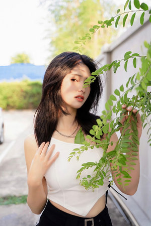 黃網(wǎng)站可以在線觀看