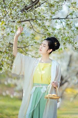 一級特黃a免費(fèi)大片