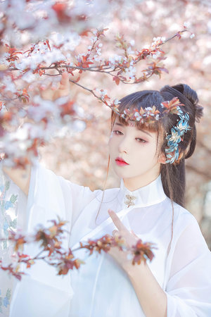 臺灣佬大咪咪免費視頻