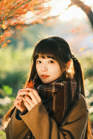 神奇動(dòng)物在哪里