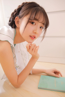 40式楊氏太極拳