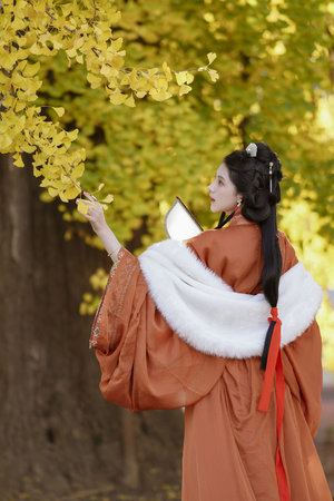 GOGOGO高清國(guó)語(yǔ)完整