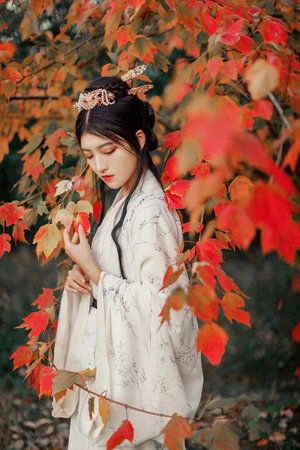 暴躁老阿姨老奶奶的成就與榮譽(yù)