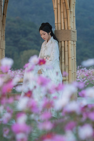 女性與動(dòng)性ⅩXXXX免費(fèi)