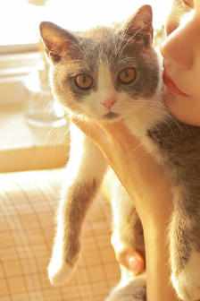 圣經(jīng)在線有聲閱讀