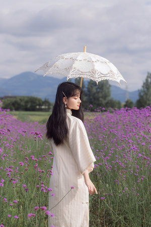 渭南電視臺(tái)直播