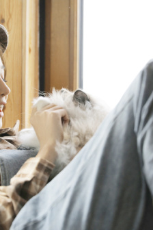 珠簾玉幕免費(fèi)全集