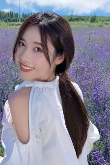 灰獵犬號電影高清在線觀看