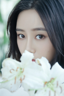 電視劇太極宗師全集