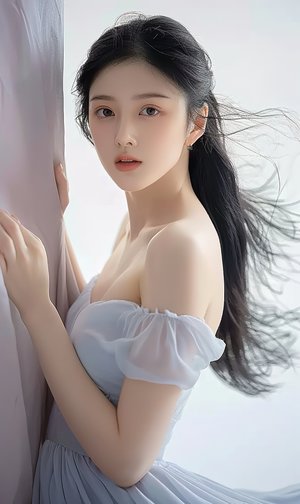 法國滿天星《勤務秘書》