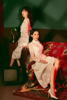 拔作島動(dòng)漫