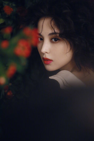 網(wǎng)劇重生在線觀看