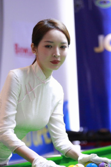 楊式太極拳二十四式