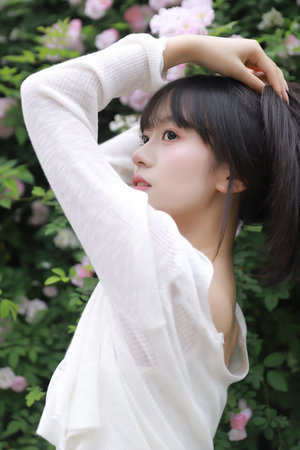 偷風不偷月 北南