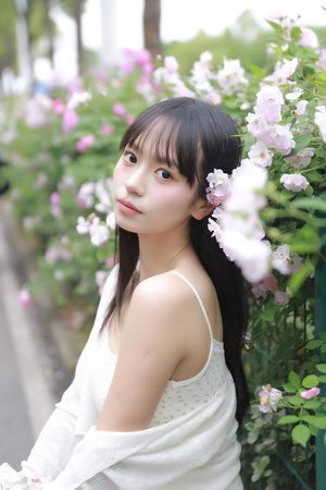 中國電影一級(jí)片