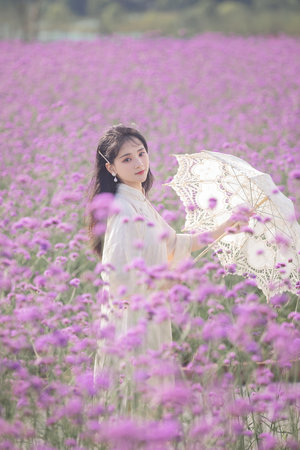 春閨艷婦(古言)作者:年富一年