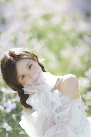 憑欄一片風云起電視劇免費觀看