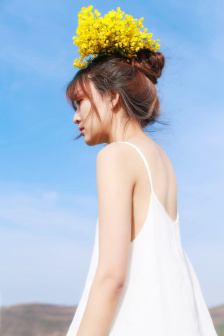 文豪野犬第五季