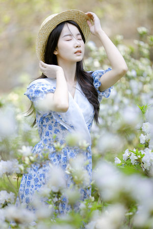 美國(guó)人與動(dòng)物膠配方大全