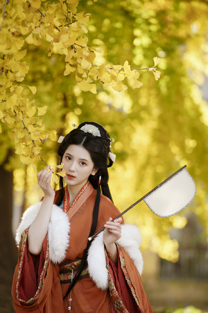 情滿四合院免費(fèi)觀看全集電視劇