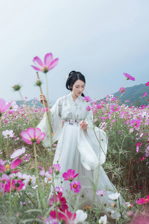 大秦帝國之崛起免費觀看完整版