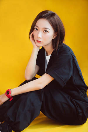 雷洛傳2普通話版