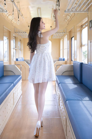 東北解放戰(zhàn)爭全記錄