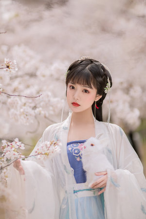 窩窩影院免費觀看高清電視劇