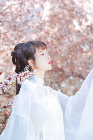 漫蛙MANWA漫秘密教學(xué)的優(yōu)點(diǎn)