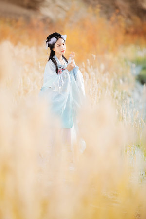 君子盟電視劇免費觀看