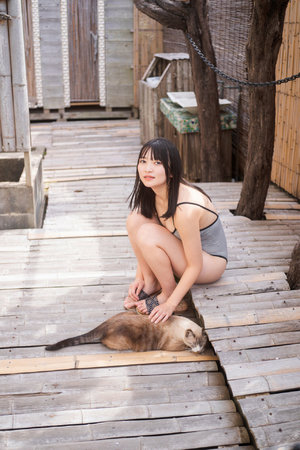 如如影視劇免費播放