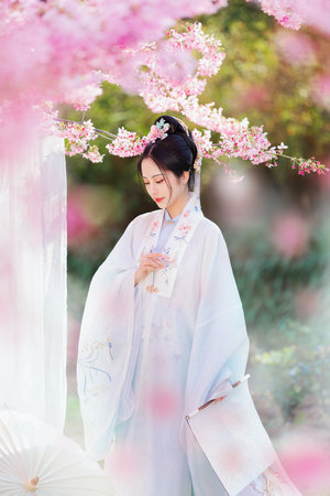 家的n次方臺(tái)詞