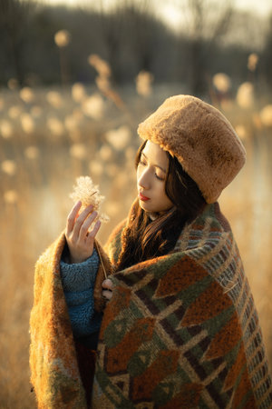 twilight小說(shuō)