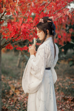 中文版音樂劇貓