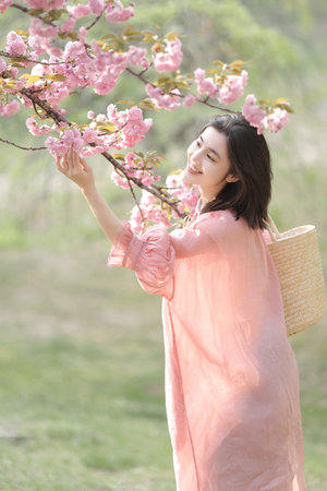 神探狄仁杰第五部