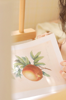 無翼鳥邪惡漫畫