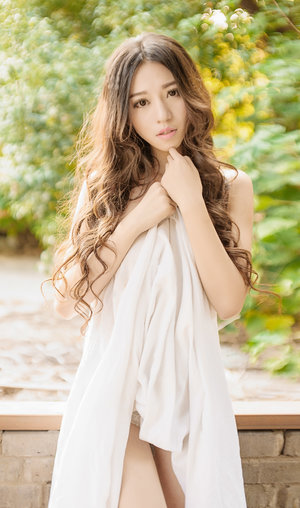 金甲戰(zhàn)士2