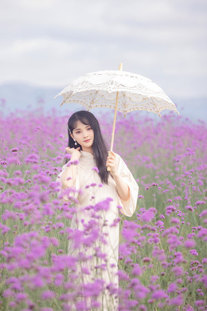 雙性人下半身的結構圖