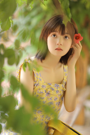 老九門番外之虎骨梅花