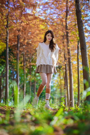 無翼烏邪惡帝在線觀看