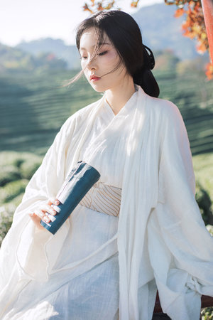 打仗天才忽必烈