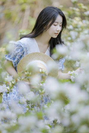 無人區(qū)在線觀看免費播放電視劇在線