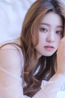 完美世界動漫在線觀看全集免費播放