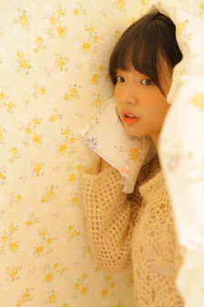 新施公案劇情介紹