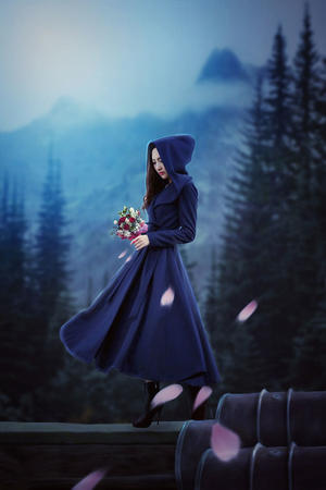 那一次媽媽沒(méi)有拒絕我600字