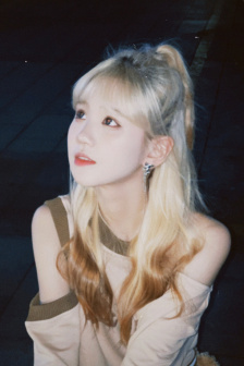 費可的晚宴在線閱讀