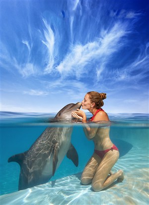 張學友回應抓逃犯