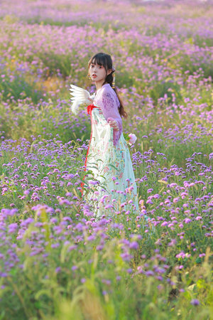 鷹巢之預(yù)備警官電視劇免費(fèi)觀看