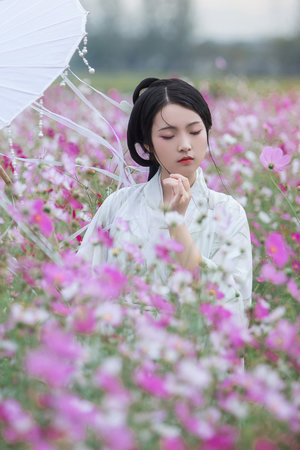 人馬雜配MV的視頻美國版免費(fèi)觀看